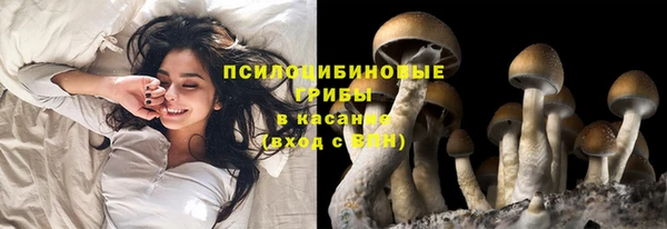 первитин Нея