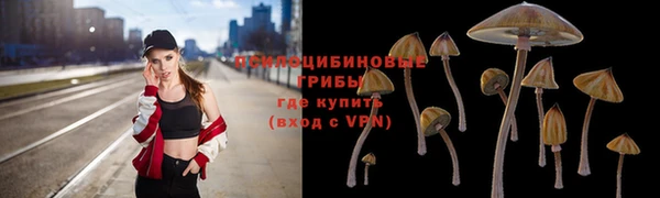 гидропоника Нефтегорск