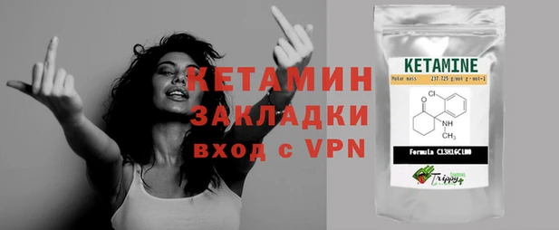 шишки Бикин