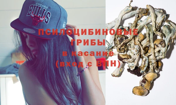 первитин Нея