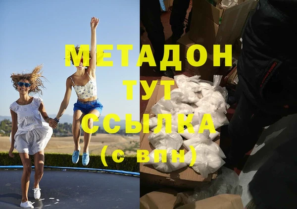 шишки Бикин