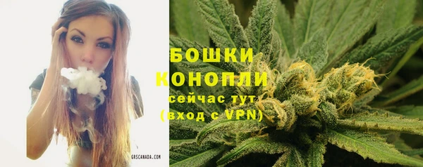 ешки Нефтекумск