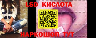 крисы Камышлов