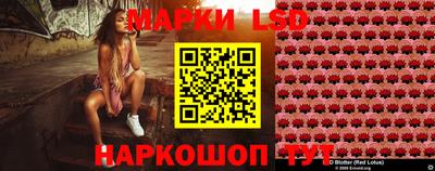 крисы Камышлов