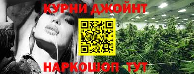 крисы Камышлов