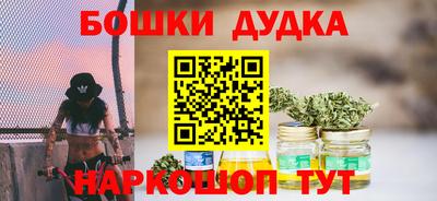 крисы Камышлов