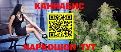 крисы Камышлов