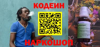 крисы Камышлов