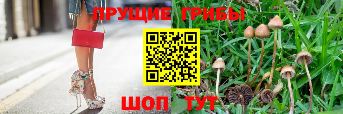 Псилоцибиновые грибы прущие грибы Чусовой
